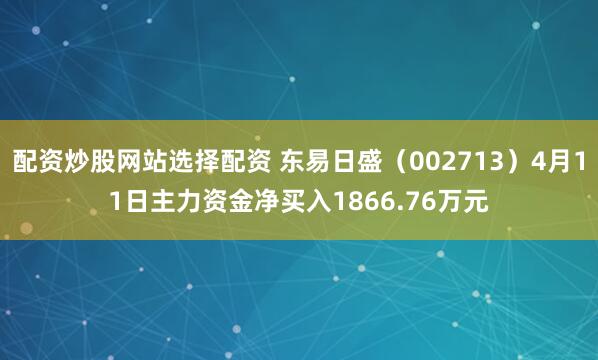 配资炒股网站选择配资 东易日盛（002713）4月11日主力资金净买入1866.76万元