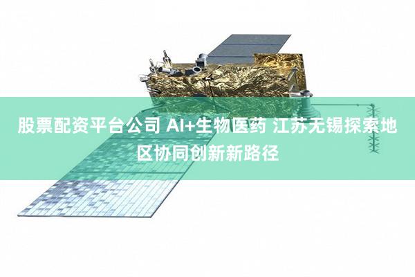 股票配资平台公司 AI+生物医药 江苏无锡探索地区协同创新新路径