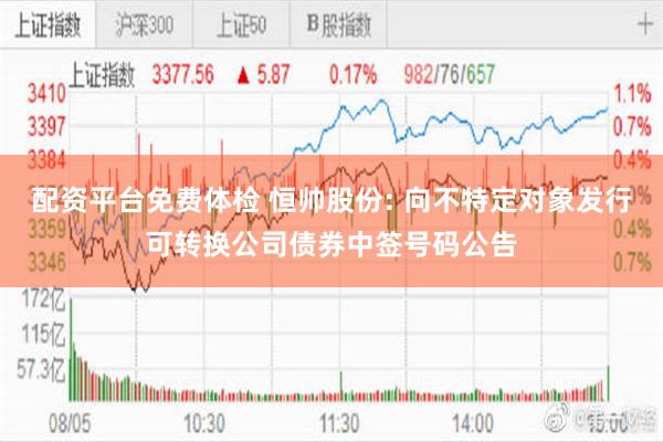 配资平台免费体检 恒帅股份: 向不特定对象发行可转换公司债券中签号码公告