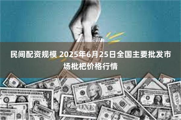 民间配资规模 2025年6月25日全国主要批发市场枇杷价格行情