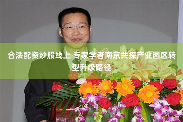 合法配资炒股线上 专家学者南京共探产业园区转型升级路径