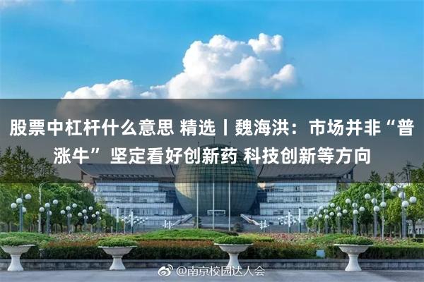 股票中杠杆什么意思 精选丨魏海洪:市场并非“普涨牛” 坚定看好创新药 科技创新等方向