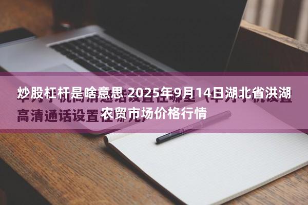 炒股杠杆是啥意思 2025年9月14日湖北省洪湖农贸市场价格行情