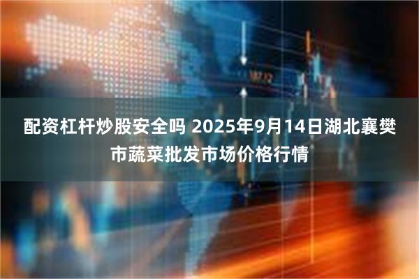 配资杠杆炒股安全吗 2025年9月14日湖北襄樊市蔬菜批发市场价格行情