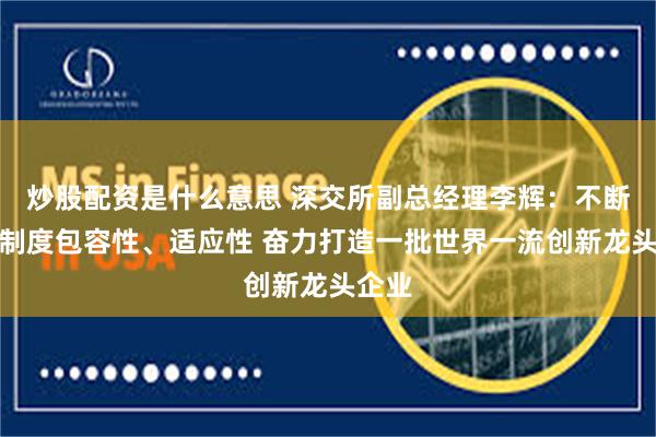 炒股配资是什么意思 深交所副总经理李辉：不断提高制度包容性、适应性 奋力打造一批世界一流创新龙头企业