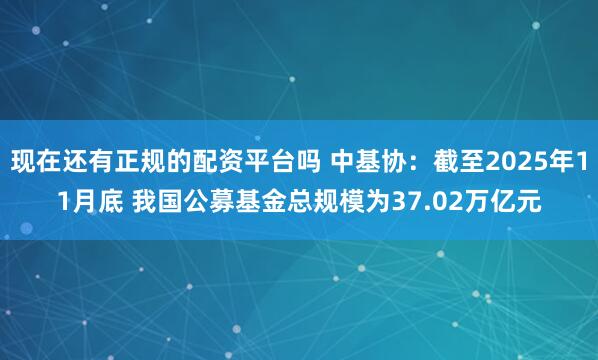 现在还有正规的配资平台吗 中基协：截至2025年11月底 我国公募基金总规模为37.02万亿元
